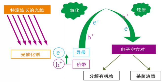 UV光催化氧化 (1).png